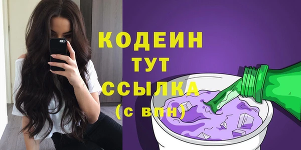 молекула духа Арсеньев
