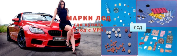 молекула духа Арсеньев