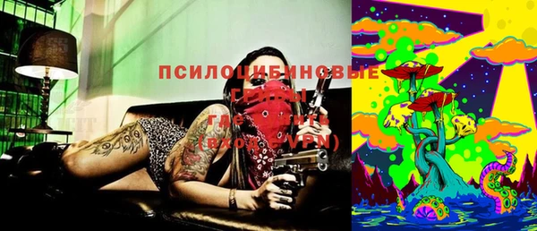 дмт Аркадак