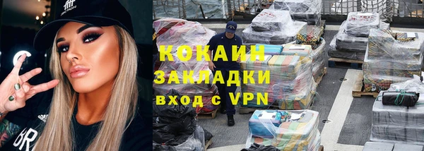 молекула духа Арсеньев