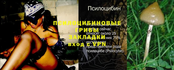 молекула духа Арсеньев