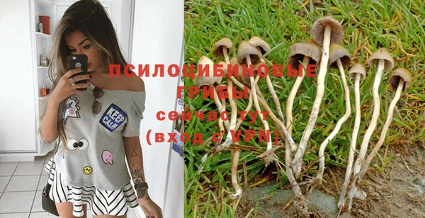 дмт Аркадак
