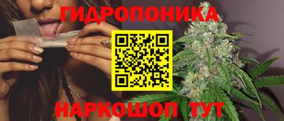 мяу мяу мука Гусь-Хрустальный