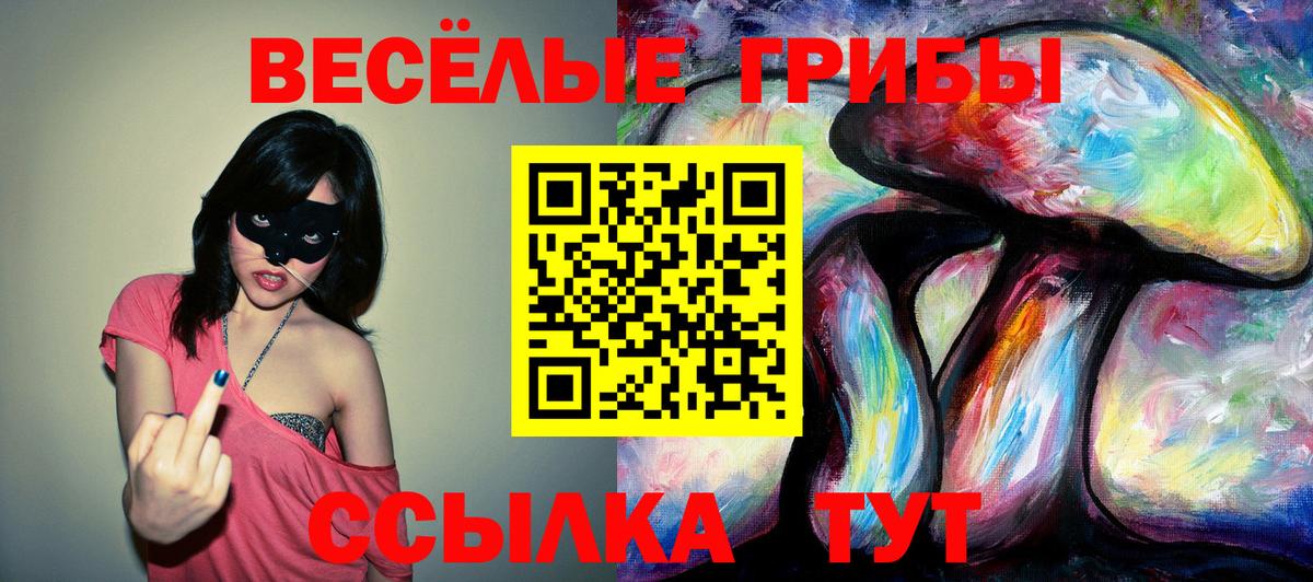 Дзержинск  Галлюциногенные грибы мухоморы  цена наркотик  Галлюциногенные грибы MAGIC MUSHROOMS  Вход с VPN 